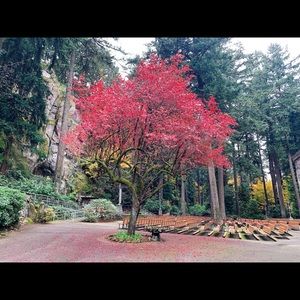 Meet your Posher, Hongphan